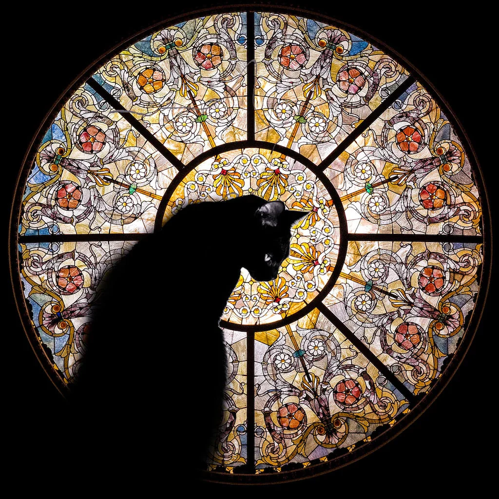 šāā¬Cathedral Cat Wooden Jigsaw Puzzle - 372PCS