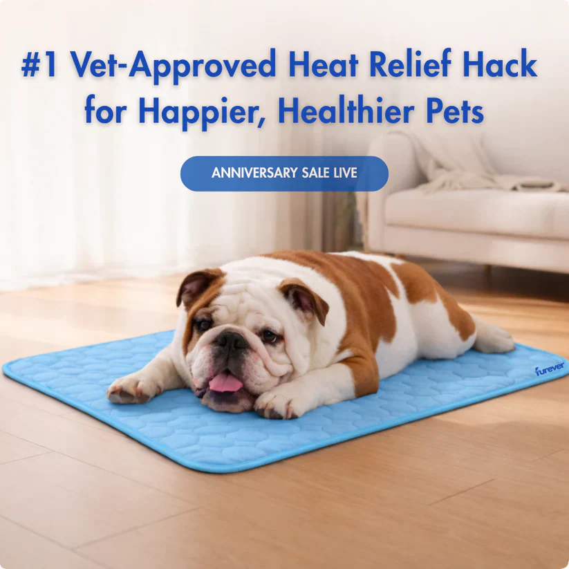 Fanyil™ DreamPaws CoolBreath Mat