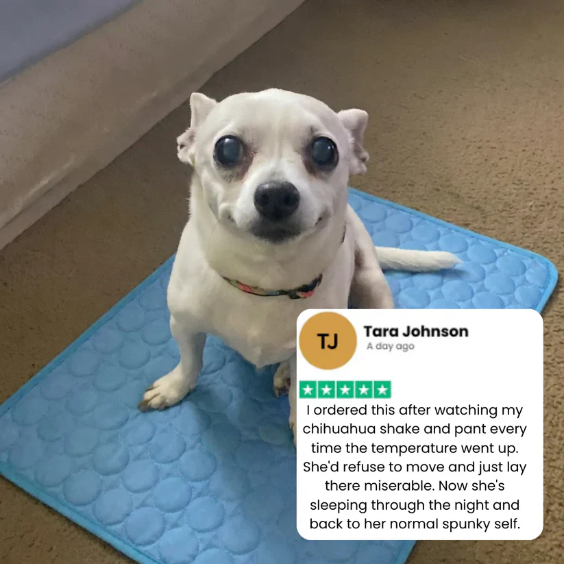 Fanyil™ DreamPaws CoolBreath Mat - Image 10
