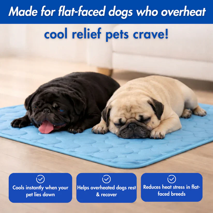Fanyil™ DreamPaws CoolBreath Mat - Image 4