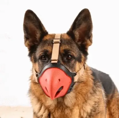 Fanyil™ ParrotBeak Dog Muzzle - Image 2