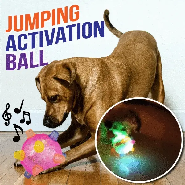 Fanyil™ Pet Ball Endless Entertainment for Your Furry Friend!