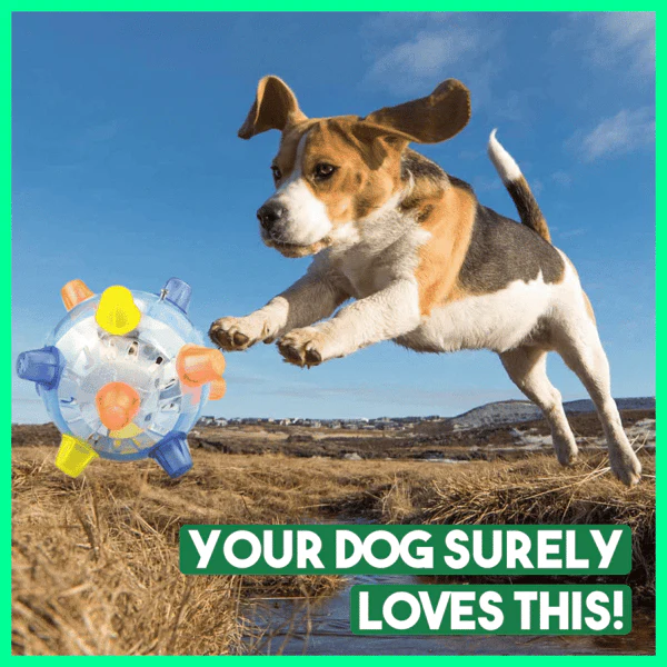 Fanyil™ Pet Ball Endless Entertainment for Your Furry Friend! - Image 2