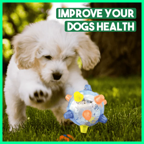 Fanyil™ Pet Ball Endless Entertainment for Your Furry Friend! - Image 3