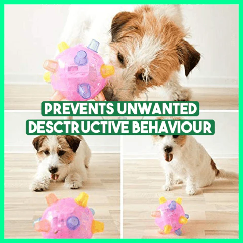 Fanyil™ Pet Ball Endless Entertainment for Your Furry Friend! - Image 4