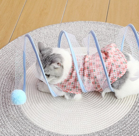 Fanyil Cat Coil Spring Toy For Indoor Cats - Image 4