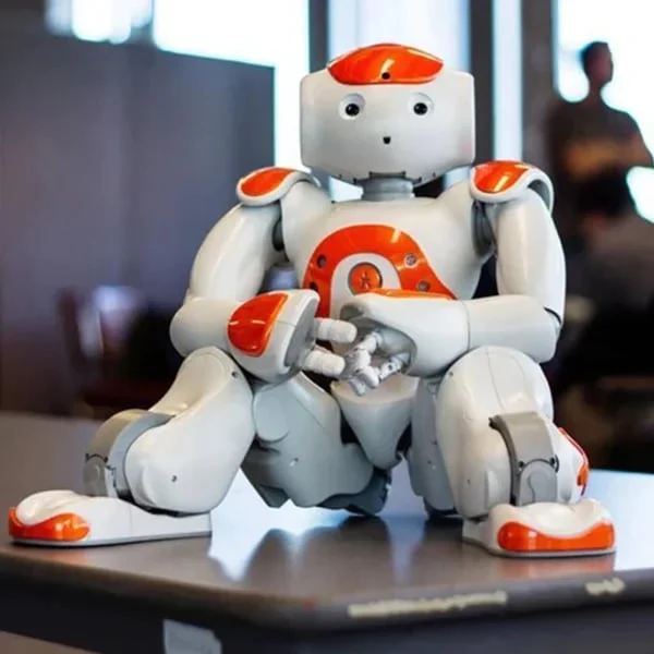 Fanyil LearnioBot - Image 3