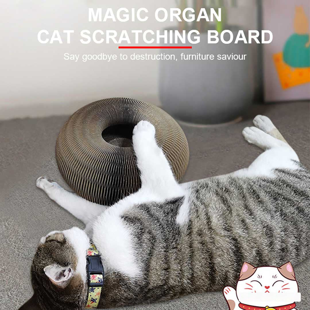 Fanyil Magic Organ Cat Scratch Board. - Image 3