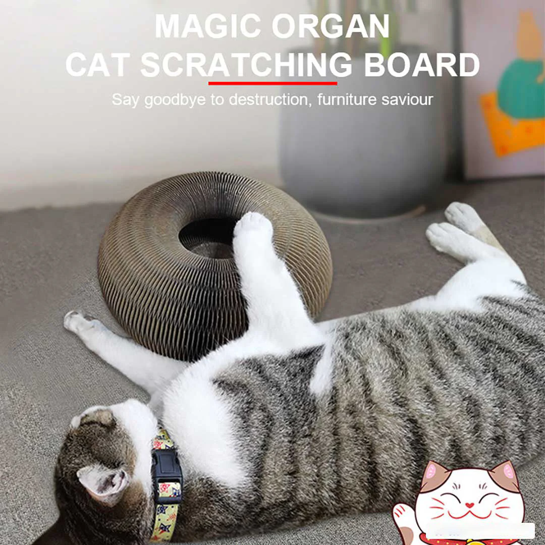 Fanyil Magic Organ Cat Scratch Board. - Image 9