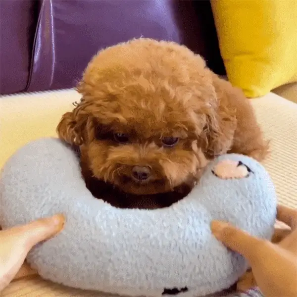 Fanyil Pet Pillow - Image 2