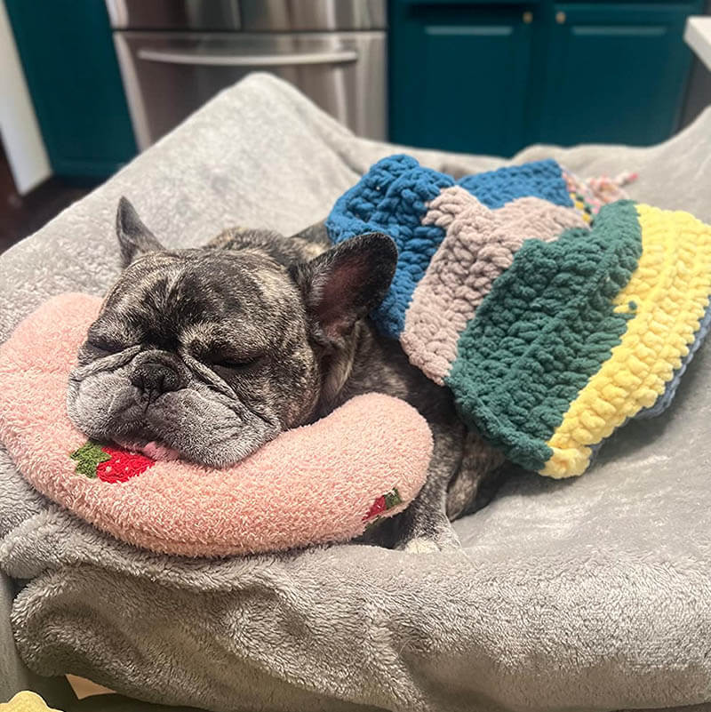 Fanyil Pet Pillow - Image 5