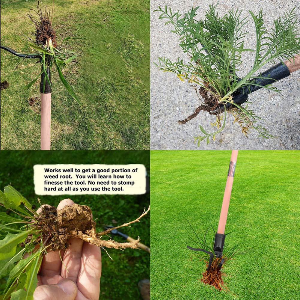 Fanyil Weed Puller - Image 5