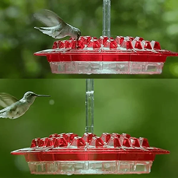 Fanyil Sweety Hummingbird Feeder - Image 6